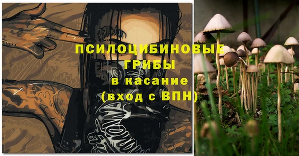 гидра Струнино