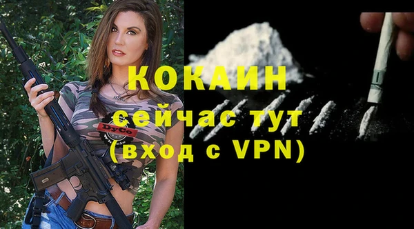 меф Арсеньев
